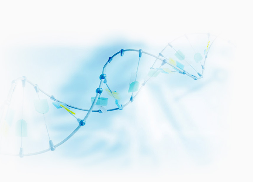 1548145371744614XjOy.jpg 生產(chǎn)理念.jpg